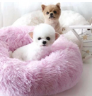 Caminha Anti-Ansiedade