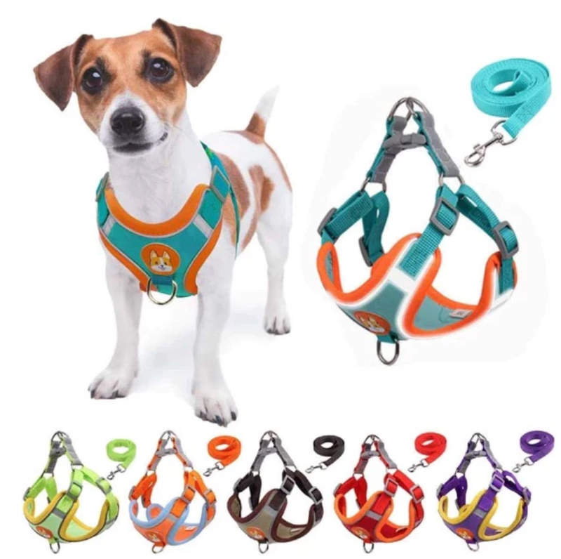 Coleira Peitoral para Pequenos e Médios