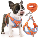 Coleira Peitoral para Pequenos e Médios
