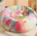 Caminha Anti-Ansiedade