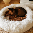 Caminha Anti-Ansiedade